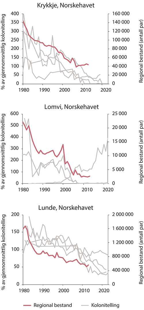 Figur 3.14 Sjøfuglbestander i Norskehavet. Bestandsutvikling for krykkje, lomvi og lunde. Tykk rød strek viser estimert bestandsstørrelse, tynne grå streker viser bestandsovervåking i enkeltkolonier.