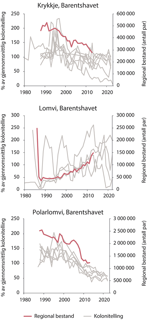 Figur 3.6 Sjøfuglbestander i Barentshavet. Bestandsutvikling for krykkje, lomvi og polarlomvi. Tykk rød strek viser estimert bestandsstørrelse, tynne grå streker viser bestandsovervåking i enkeltkolonier.