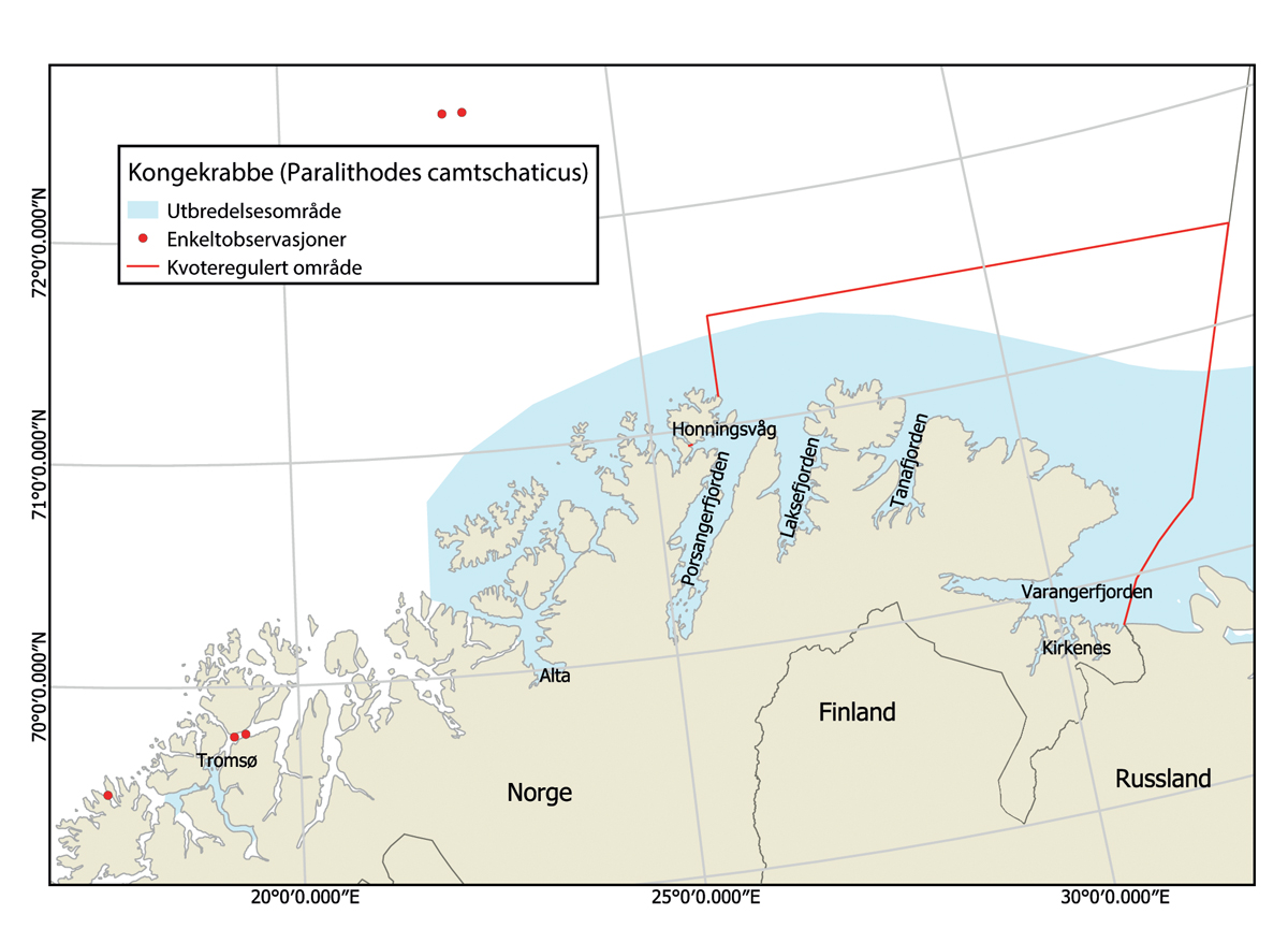 Figur 3.7 Status for utbredelse av kongekrabbe i Barentshavet, både på norsk og russisk sokkel og innrapporterte enkeltobservasjoner.