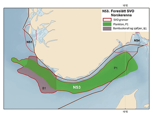Figur 4.13 Kart over miljøverdier i Norskerenna. Utbredelse av overvintringsområdet for hoppekreps i Norskerenna og de tilstøtende kjerneområdene for bambuskorall (Isidella lofotensis) og flere arter sjøfjær. Kartet er basert på relative mengder i trålbifangst ...