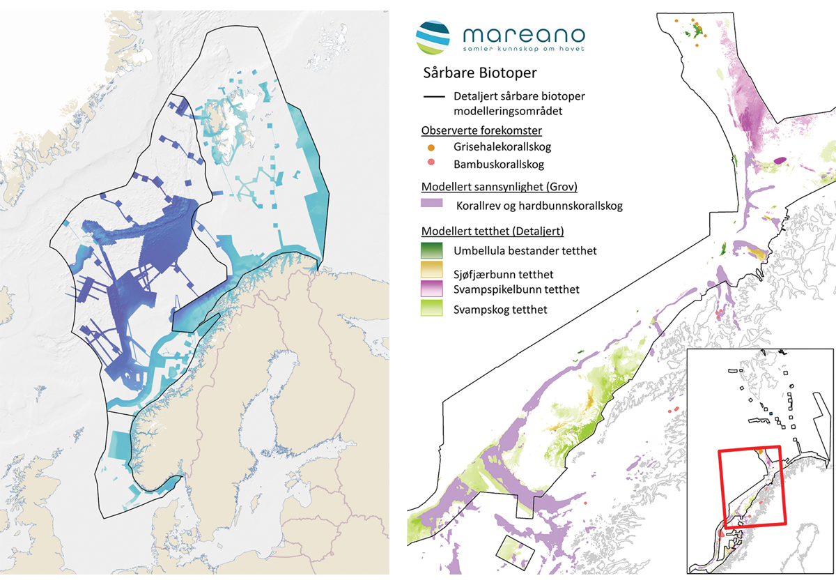 Figur 4.20 Kartlegging av havbunn. Områder hvor dybde og havbunnsterreng er kartlagt eller innhentet fra andre kilder av Mareano-programmet (venstre). Sårbare biotoper modellert fra data innsamlet av Mareano-programmet (høyre).