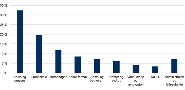 Figur 19.3 Kommunenes driftsutgifter fordelt på formål
