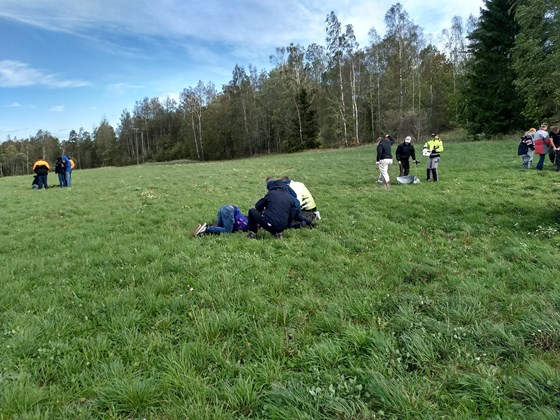 Fagdag på Kalnes