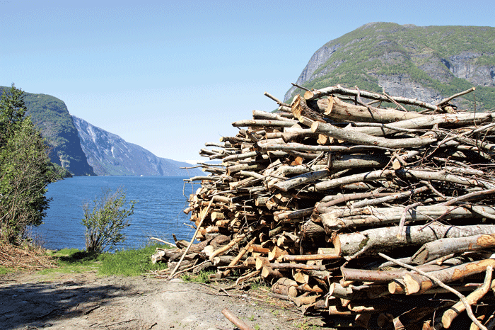 Figur 3.15 Krattrydding, Undredal, Aurlandsfjorden