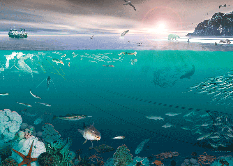 Figure 9.1 Marine management. 