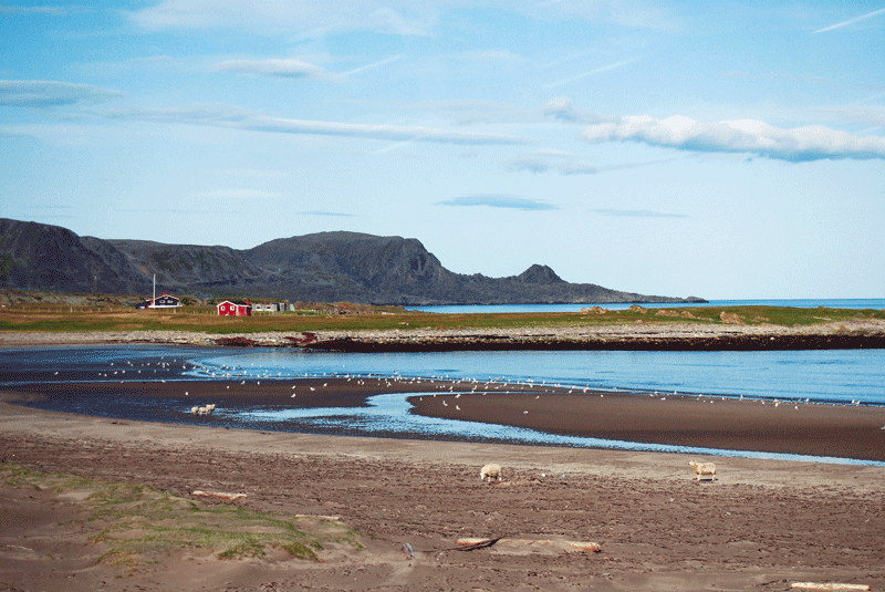 Figur 8.1 Varangerhalvøya.
