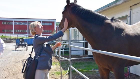 Margrete Dysjaland med hest