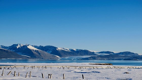 Landskap på Svalbard.