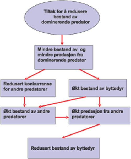 Figur 4.3 Bæreevne og økologisk konkurranse