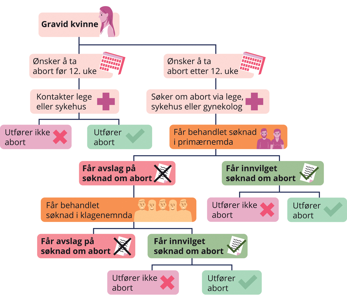 Figur 13.1 Abortforløpet