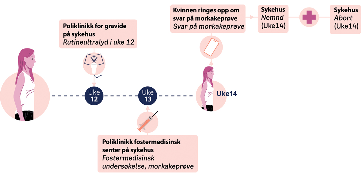 Figur 14.7 Forløp ved tidlig ultralyd uke 12, funn og abort