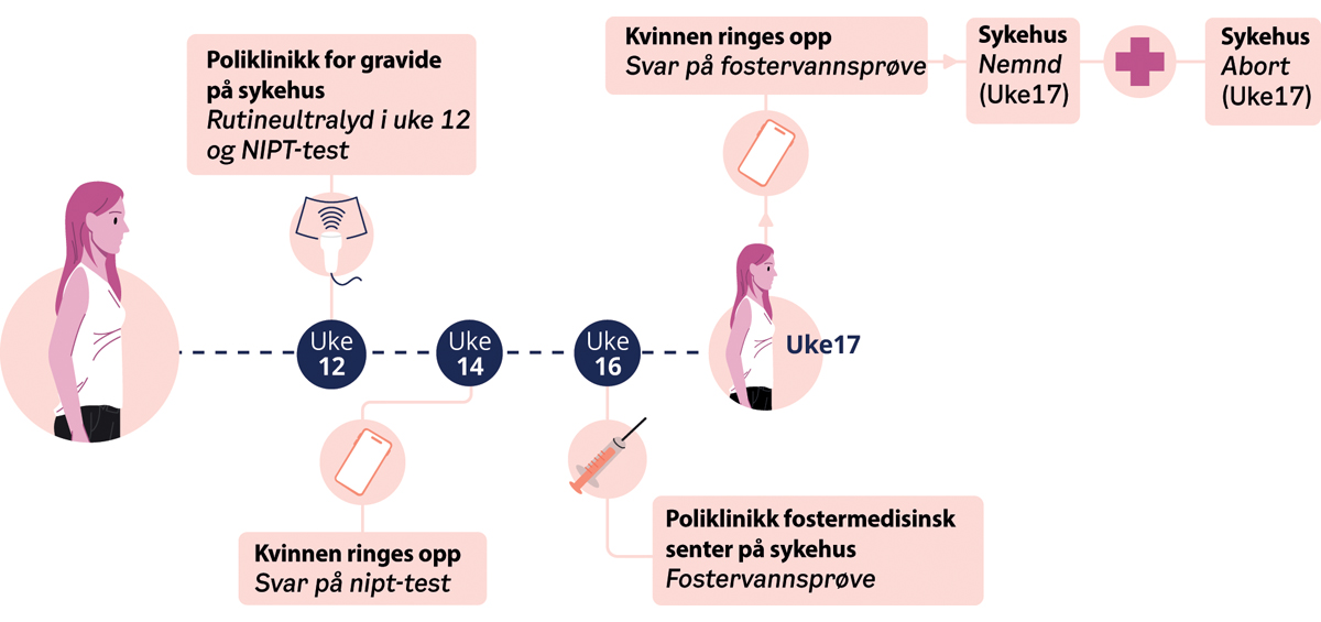 Figur 14.8 Forløp ved tidlig ultralyd og NIPT i uke 12, funn, positiv NIPT og abort