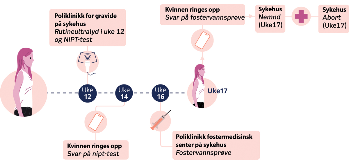 Figur 14.8 Forløp ved tidlig ultralyd og NIPT i uke 12, funn, positiv NIPT og abort