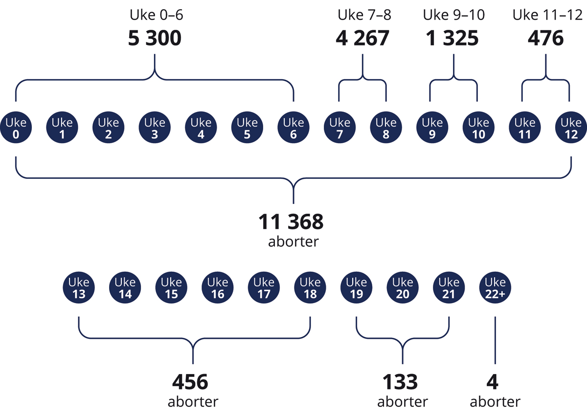 Figur 3.3 Antall svangerskapsavbrudd fordelt på svangerskapets lengde 2022