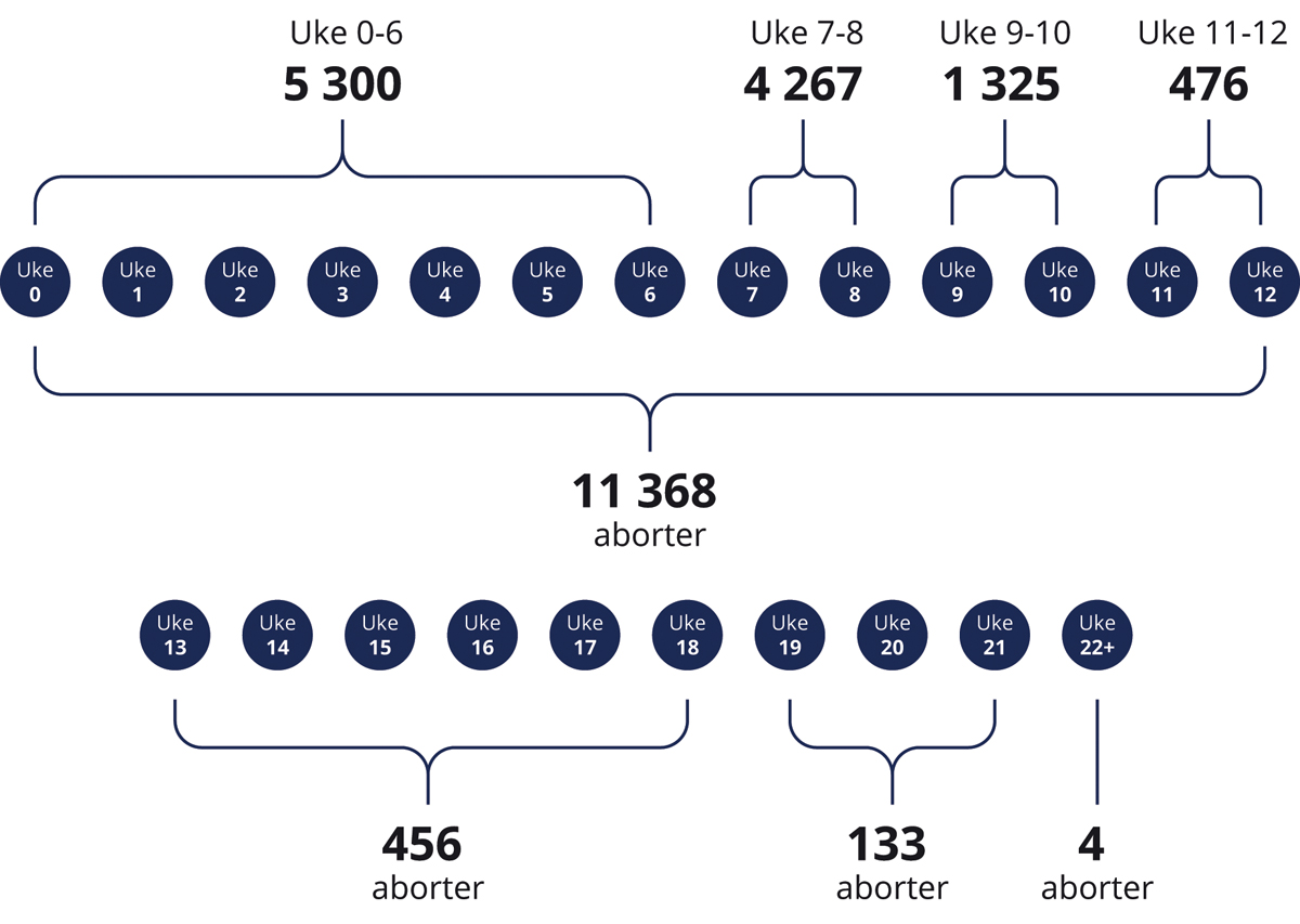 Figur 8.2 Antall svangerskapsavbrudd fordelt på svangerskapets lengde i 2022