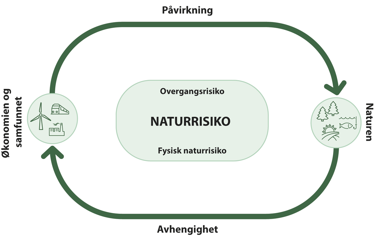 Figur 4.2 Naturrisiko ser både på avhengighet og på påvirkning – dobbel vesentlighet