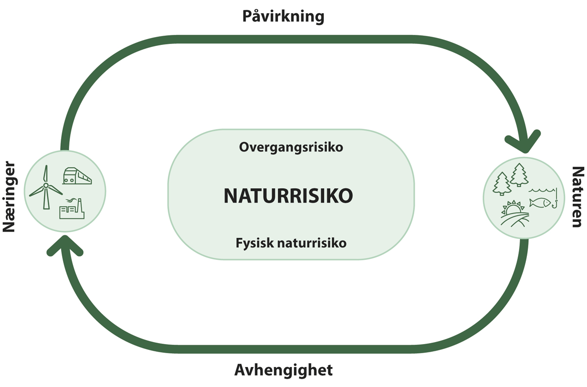 Figur 6.1 Naturrisiko inkluderer både avhengighet av og påvirkning på natur for næringer og deres aktiviteter – dobbel vesentlighet