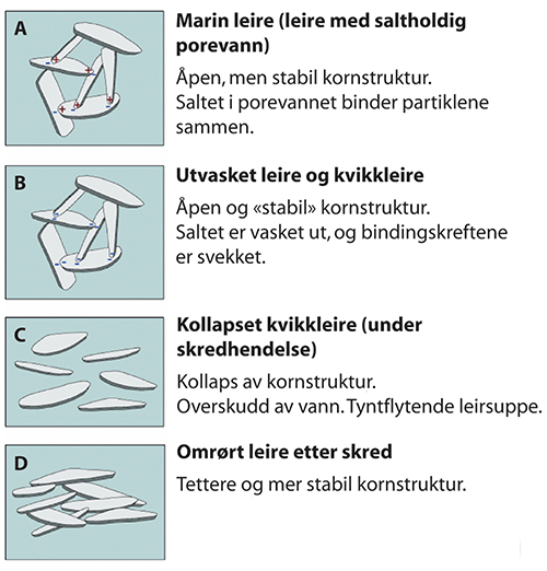 Figur 2.1 Kornstruktur i kvikkleire før og etter et skred.