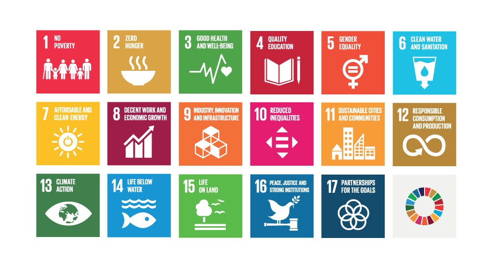 Figure 2.11 The UN Sustainable Development Goals.