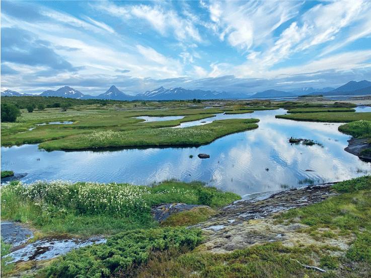 Figur 4.8 Dei fleste våtmarker inneheld store mengder karbon og er levestad for mange artar. Steinslandsosen naturreservat, Hamarøy kommune.