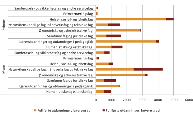 Figur 3.1 Fullførte utdanninger ved universiteter og høgskoler 1993 – 2009
