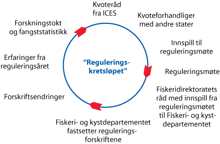 Figur 3.1 Illustrasjon av «reguleringskretsløpet»