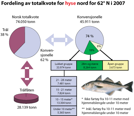 Figur 3.3 Fordeling av totalkvote for hyse nord for 62°N i 2007