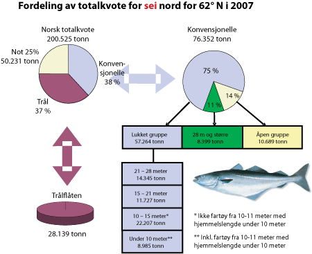 Figur 3.4 Fordeling av totalkvote for sei nord for 62°N i 2007