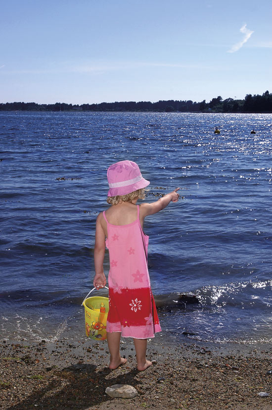 Figure 10.1 Sediments in many harbours and fjords are contaminated with
ecological toxins