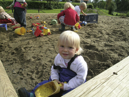 Figure 10.7 Investigations have revealed that soil in many day care centres
in the largest towns is contaminated