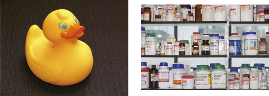 Figure 2.1 Chemicals are found both in finished products and in solid
and liquid substances and preparations