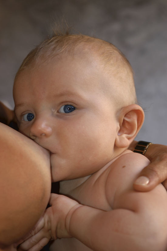 Figure 2.4 Children are exposed to ecological toxins via breast milk