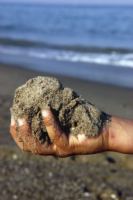 Figure 3.6 Sediments in many fjords and harbours are contaminated with
ecological toxins