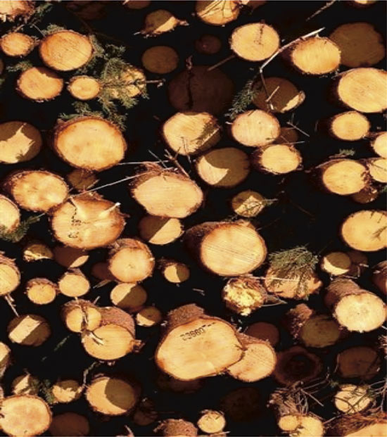 Figure 9.7 Fuelwood use is a major source of PAH emissions
