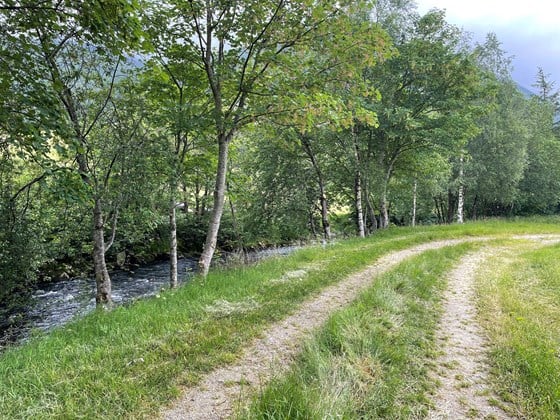 Kantvegetasjon i Kvinnherad i Vestland. Bildet viser ein sti med gras på båe sidene. Til venstre i bildet, ser ein ei elv.