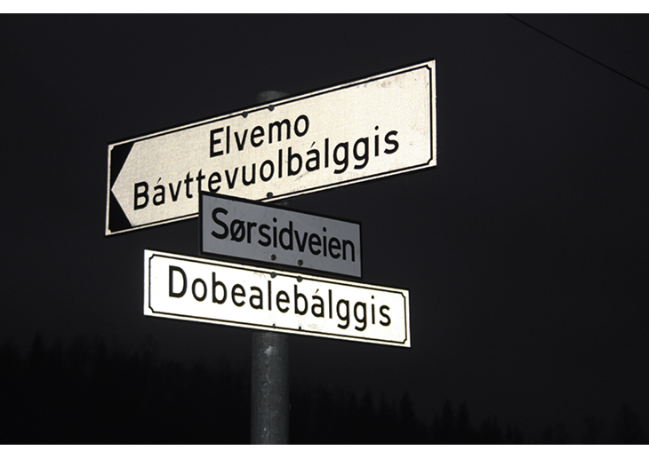 Figur 20.6 Tospråklig veinavn i Narvik kommune