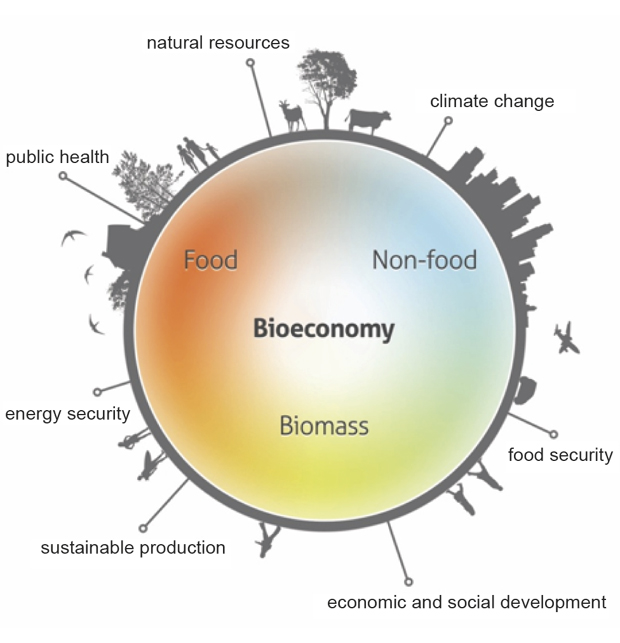 Figur 11.3 Viktige elementer i bioøkonomien.