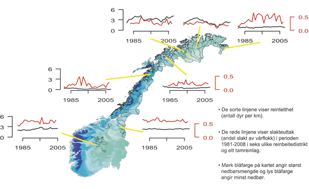 Figur 7.3 Slakteuttak og reintetthet i utvalgte distrikt i Finnmark, Troms, Nordland og Sør-Trøndelag, og ett tamreinlag i perioden 1981–2008, og mengde vinternedbør i de ulike områdene