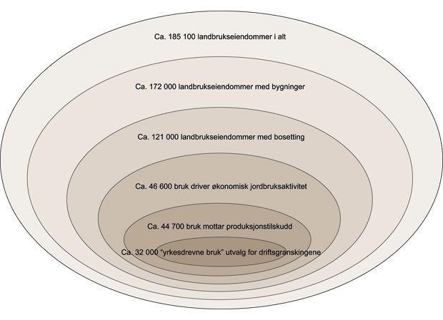 Figur 8.2 Ulike typer landbrukseiendommer og landbruksbedrifter*