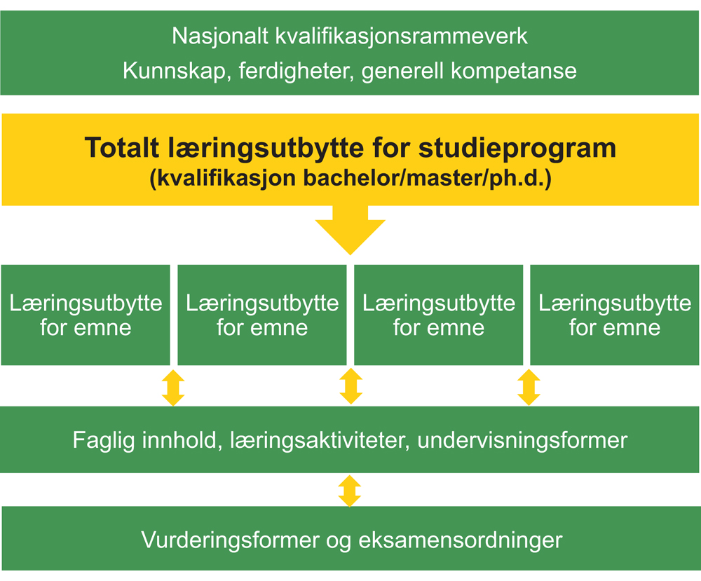 Figur 3.1 Læringsutbytte i program- og emneplaner
