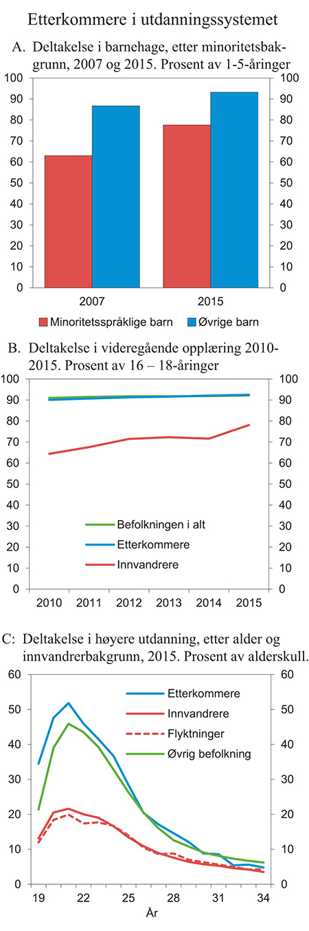 Figur 3.12 Deltakelse i ikke-obligatorisk utdanning etter innvandrerbakgrunn.