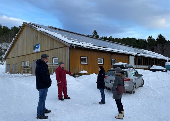 Klimasnu-finalist Finn Roger Trodal viser fram sitt kaldfjøs med solcellepanel på taket til f.v. fylkesskogmeister Åsmund Asper, Statsforvaltar Else May Norderhus og klimakoordinator Anne Melbø.