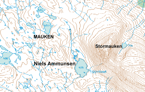 Figur 3.5 Niels Ammunsen, norsk östlapp, betalar skatt för
Mauken.