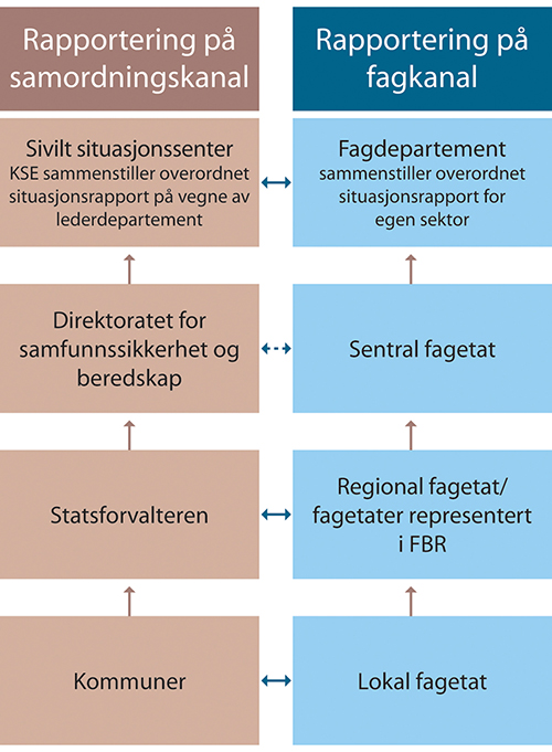 Figur 14.1 Rapportering på samordningskanal og fagkanal.