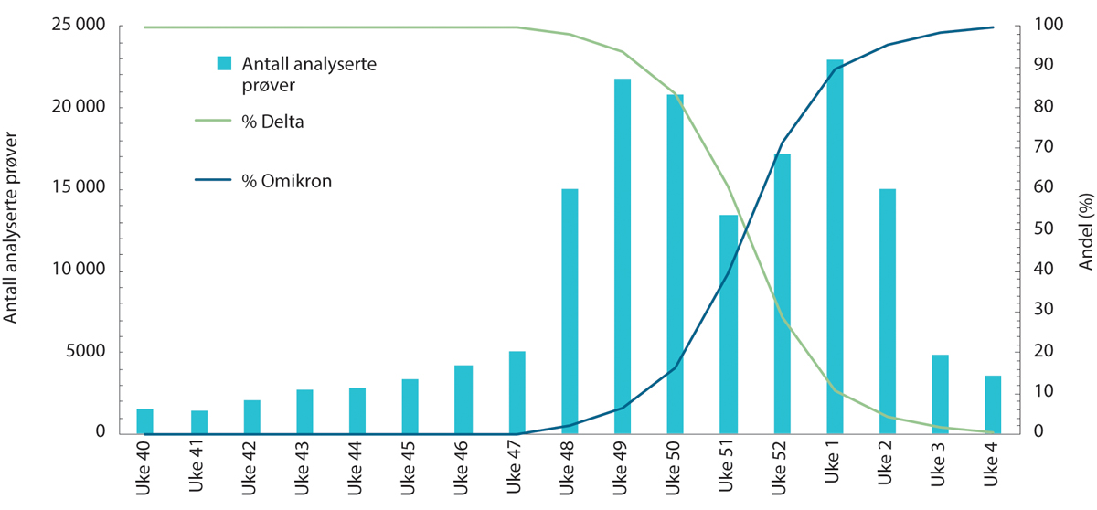 Figur 2.15 Antall analyserte prøver etter uke og andel delta- og omikronvarianter blant de analyserte prøvene. 4. oktober 2021 – 30.januar 2022.