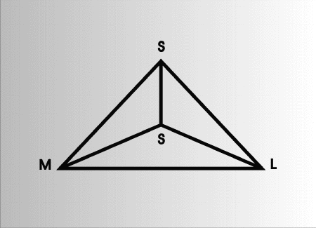 Figur 10.4 The Pedagogical Diamond