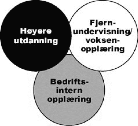 Figur 11.1 Fra tre sektorer til ett marked?