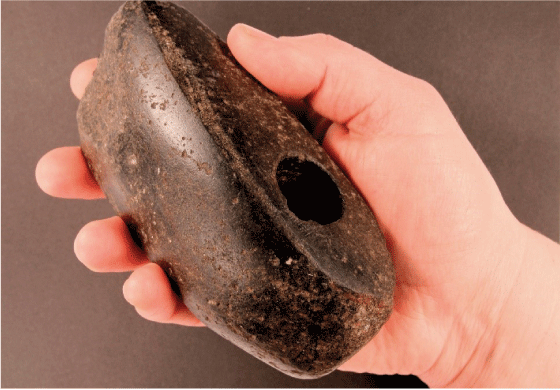 Figur 6.4 Øksehode fra steinalder, ulovlig innført fra Sverige.