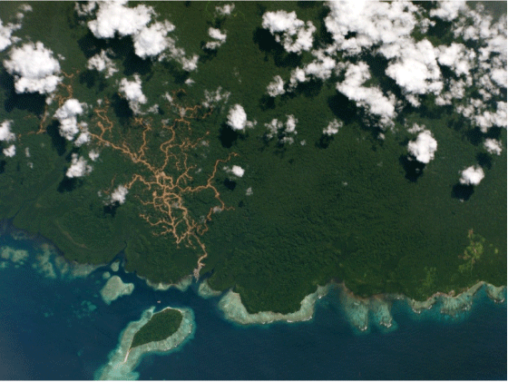Figur 8.3 Skogsveier fra en nyanlagt havn på den indonesiske øya Pulau Pini er enkelt synlige på dette høyoppløselige satellittbildet fra 30. juni 2015. Slike veier muliggjør hogst og etterfølges ofte av opprettelsen av palmeoljeplantasjer.