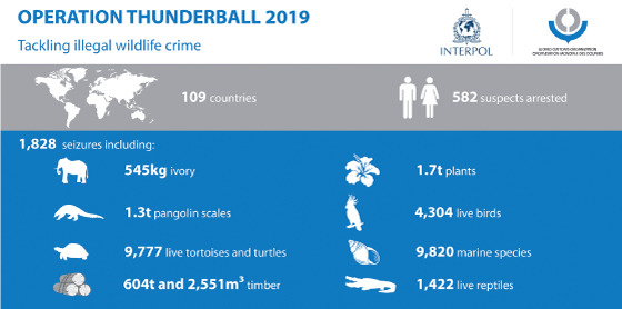 Figur 8.7 Figuren viser antall beslag under operasjon Thunderball I 2019 og hvordan beslagene fordelte seg på ulike arter og artsgrupper.